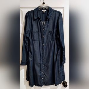 Terra and Sky Denim Shirtdress